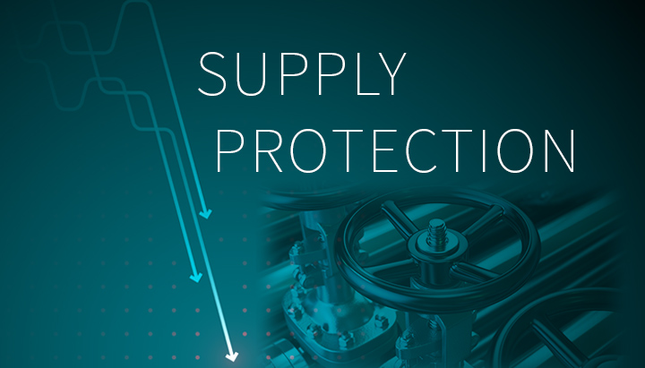 SupplyChain_Ptoection.jpg